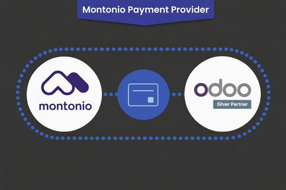 Montonio Payment Banner