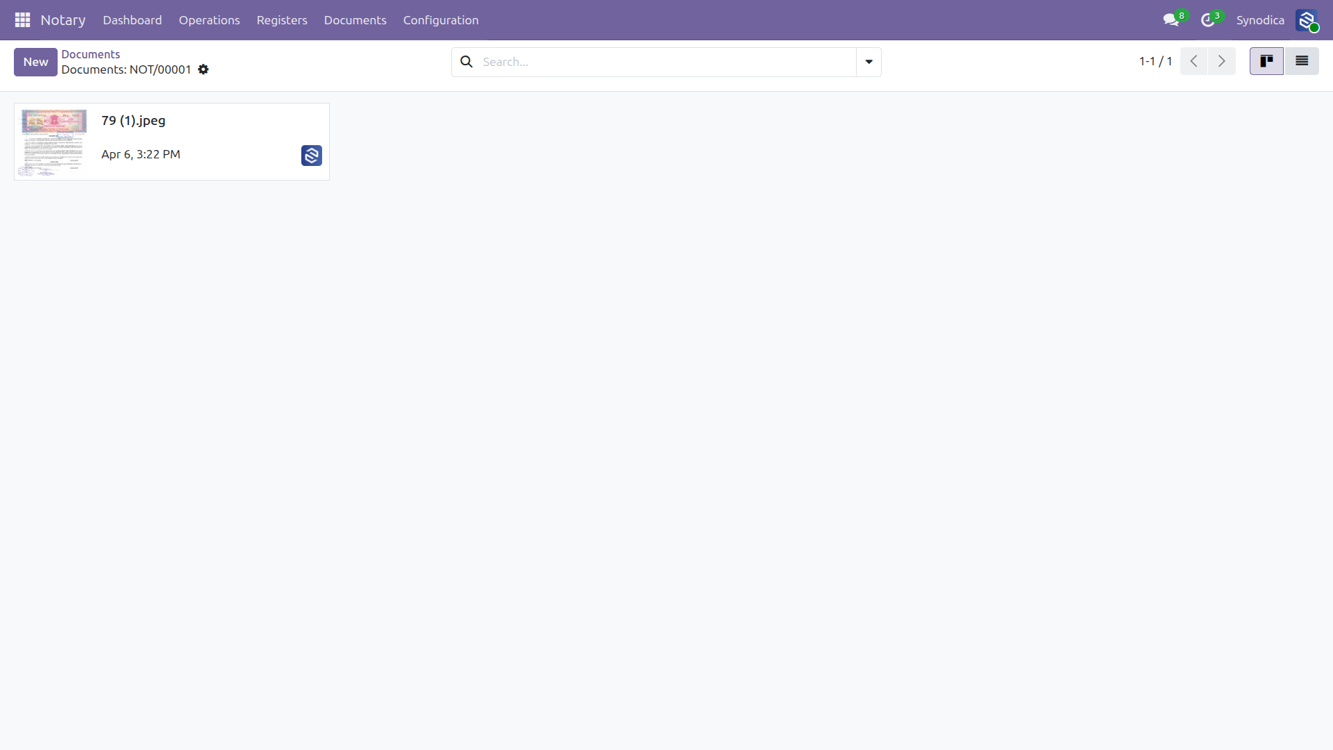 Document Preview View