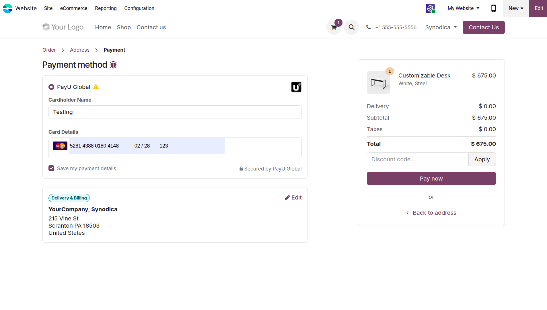 Website Checkout Payment Form