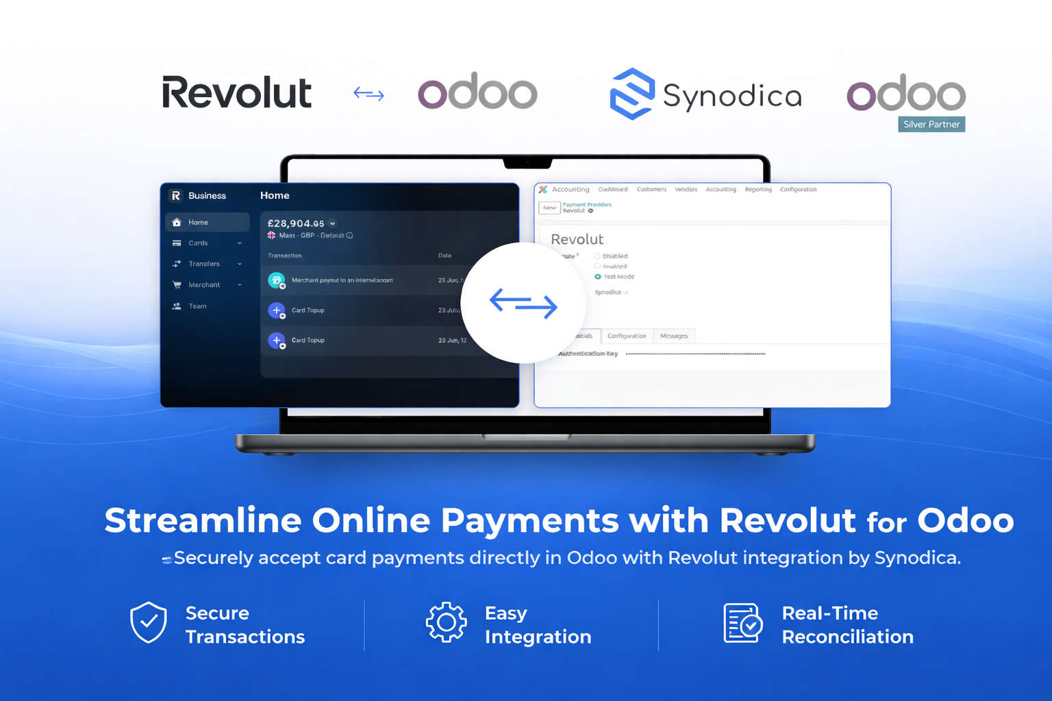 Revolut Payment Banner