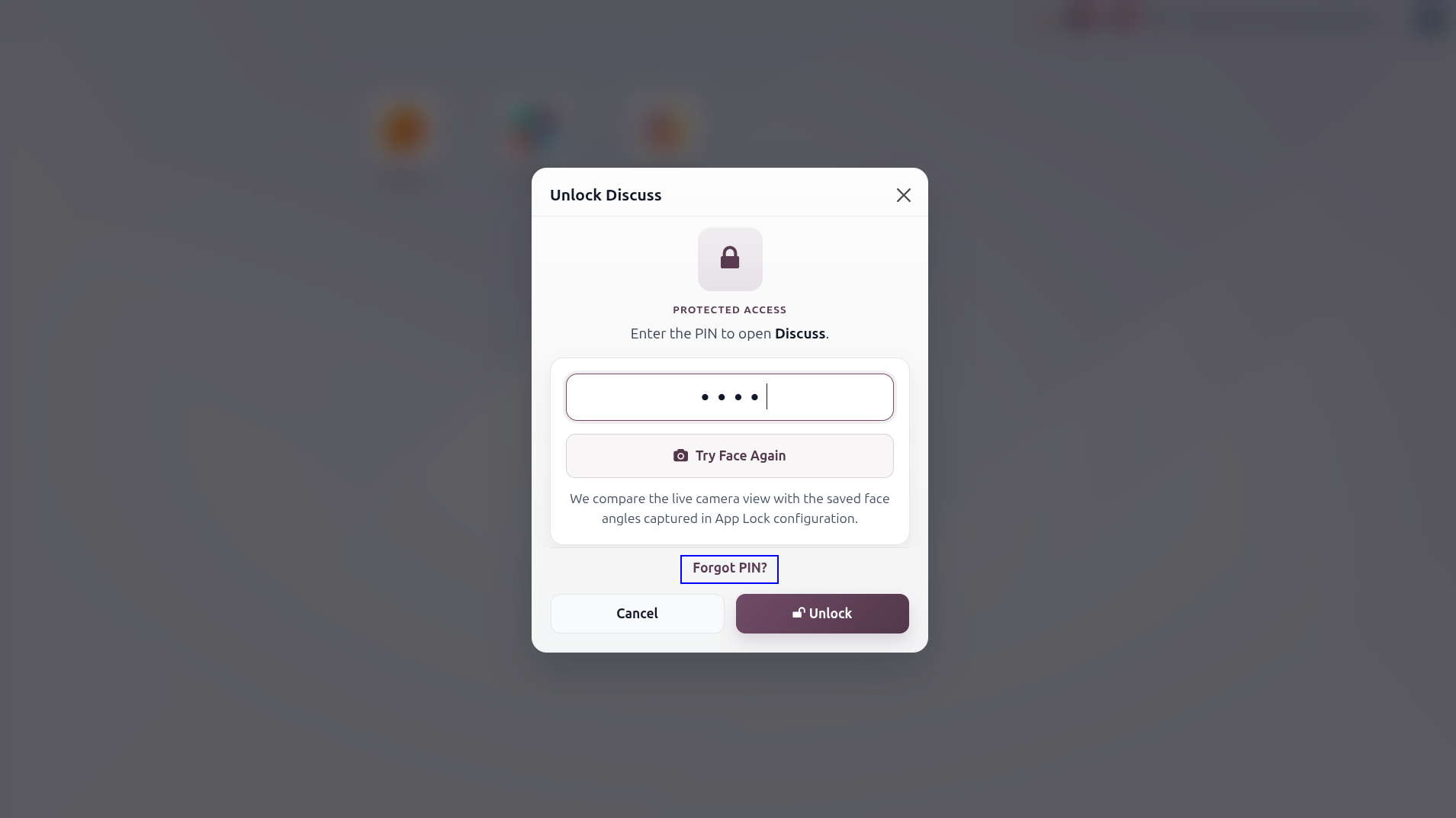 PIN Wizard After Clicking Use PIN Instead