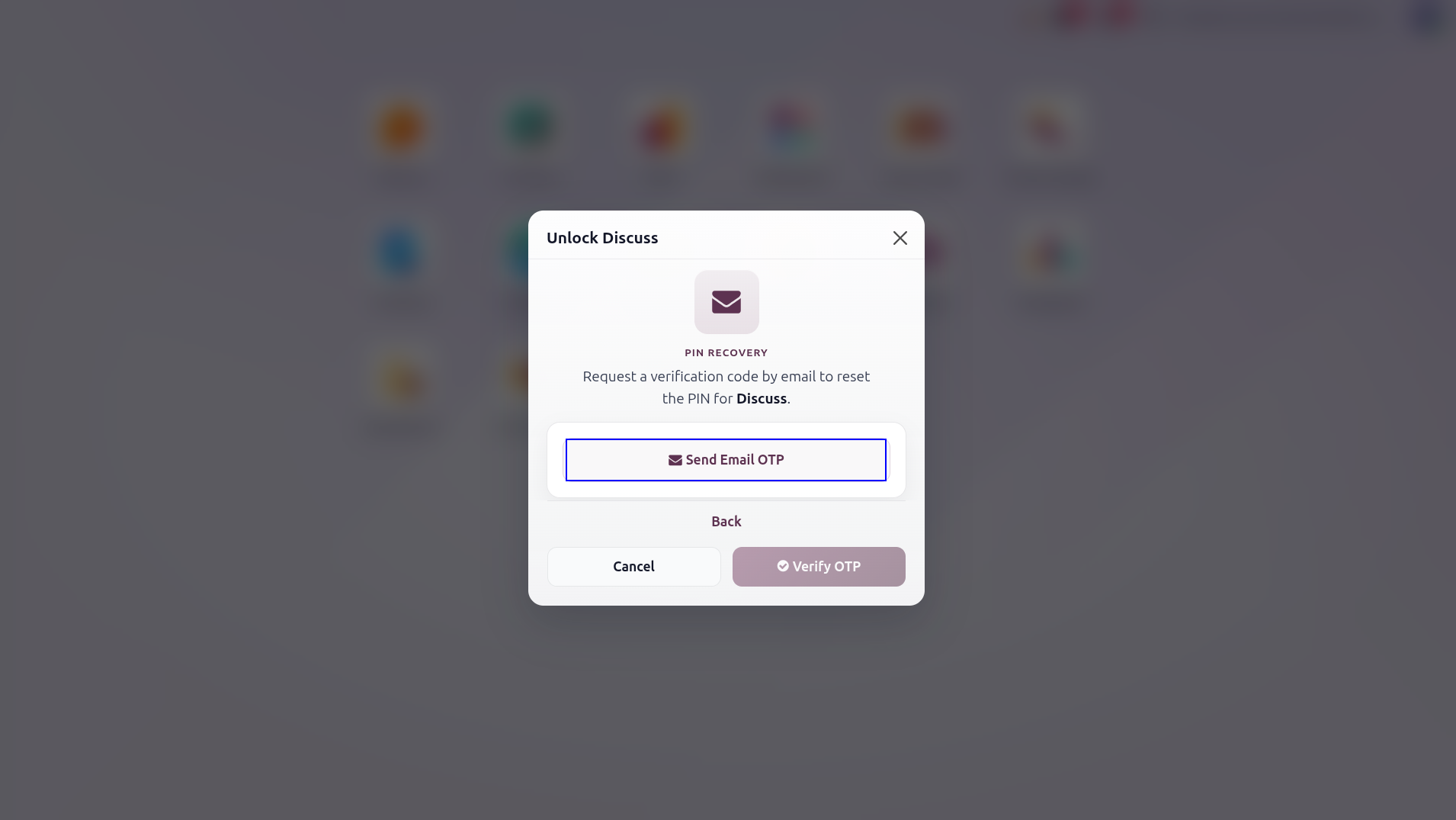 PIN Wizard After Clicking Use PIN Instead