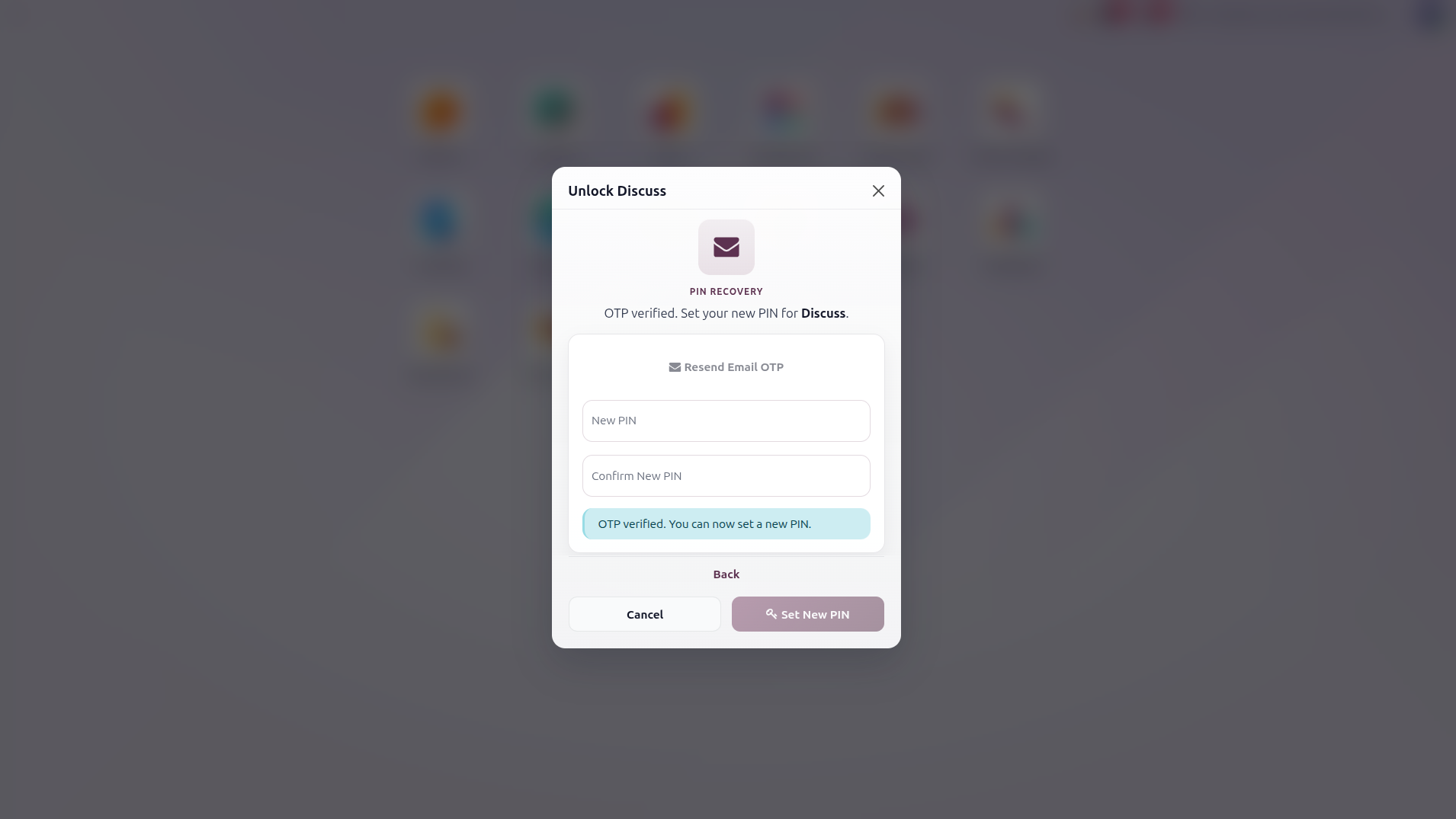 PIN Wizard After Clicking Use PIN Instead