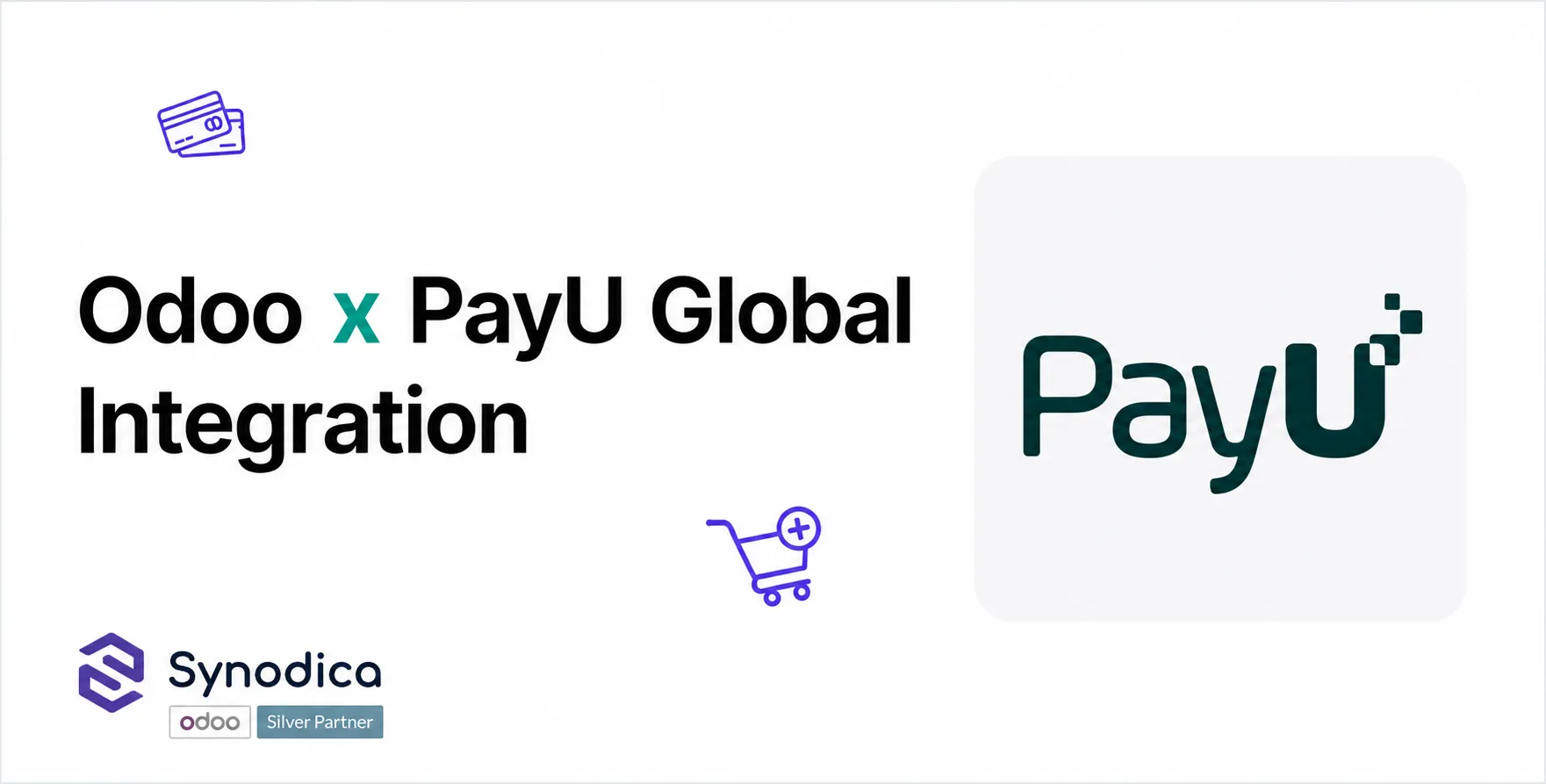 PayU Global Payment Provider